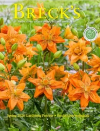 Breck's Flower Catalog