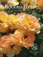 Jackson & Perkins Catalog