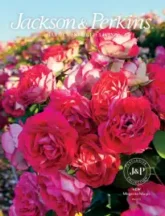 Free Jackson & Perkins Catalog