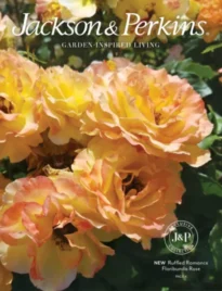 Jackson & Perkins Catalog