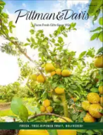 %currentyear% Pittman & Davis Catalog