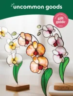 Uncommon Goods Catalog